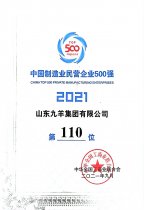 йҵӪҵ500ǿ110λ 21